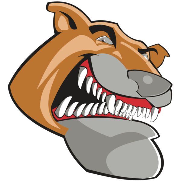 COUGAR HD0504 RQC Miniaturansicht