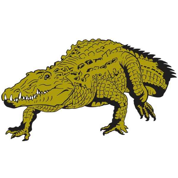 AR GATOR 13 RQC Miniaturansicht