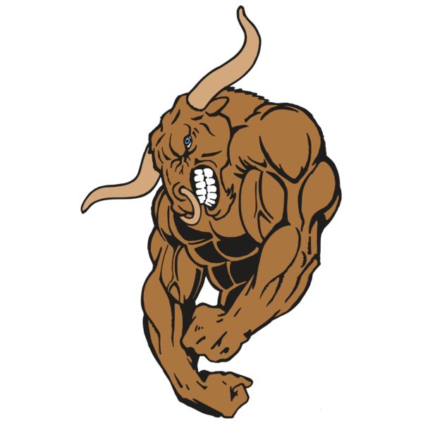 AR5 BULL 18 RQC Miniaturansicht