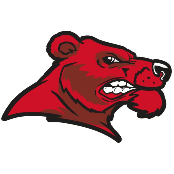 AR BEAR 55 RC Miniaturansicht