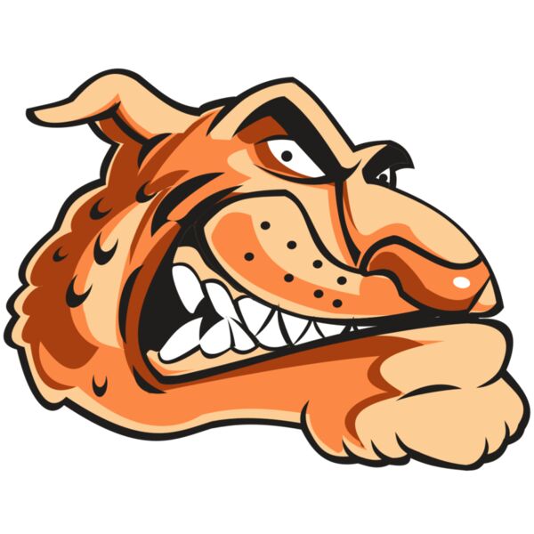 CHEETAH HD0503 RQC Miniaturansicht