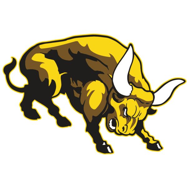 AR BULL 57 RC Miniaturansicht