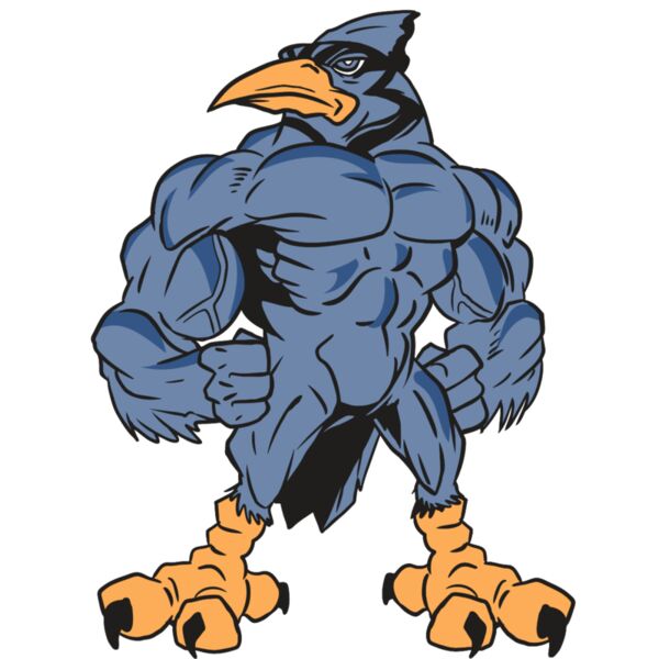 AR13 BLUEJAY 03 RQC Miniaturansicht