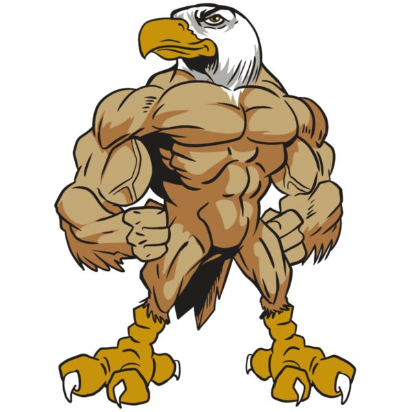 AR13 EAGLE 01 RQC Miniaturansicht