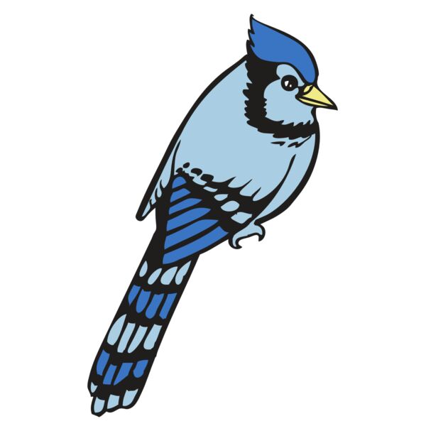 BAW BLUEJAY 08 RC Miniaturansicht