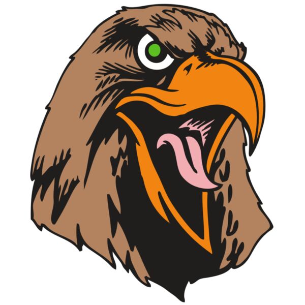 BAW HWK FLCN 01 RC Miniaturansicht