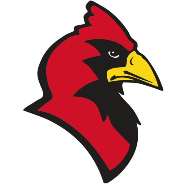 AR CARDINAL 20 RC Miniaturansicht