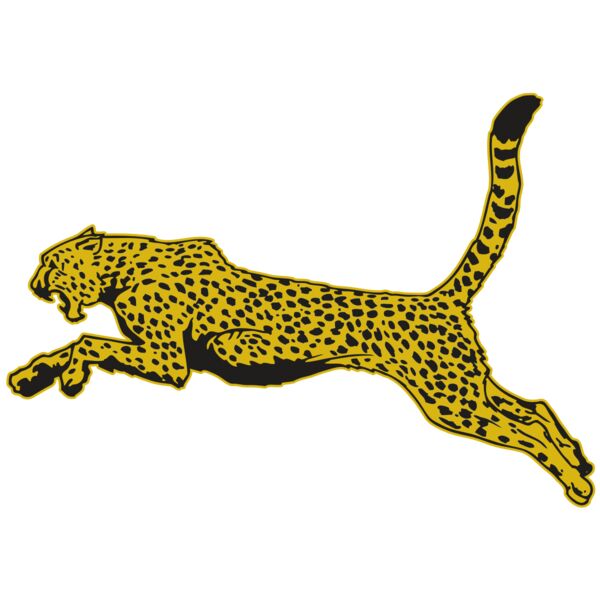 AR CHEETAH 10 RC Miniaturansicht