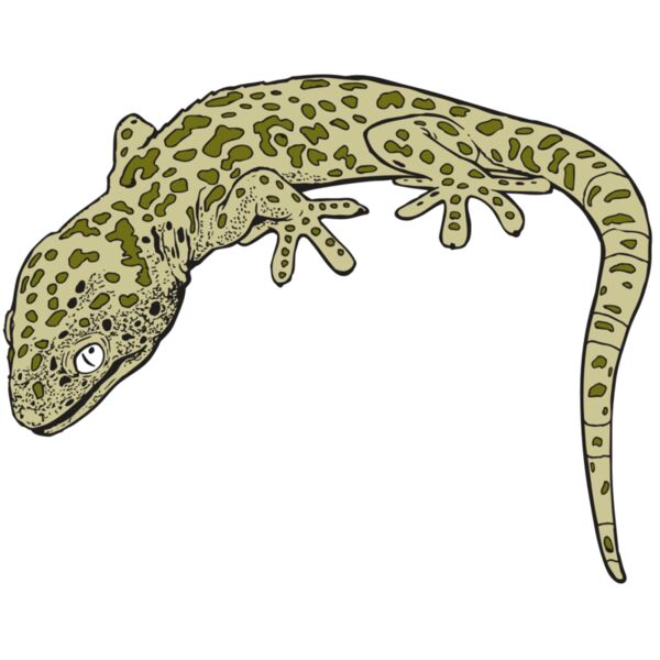 AR GEKO 19 RC Miniaturansicht