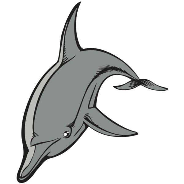 BAW DOLPHIN 03 RC Miniaturansicht