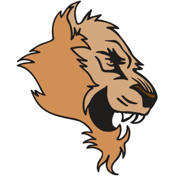 AR5 COUGAR 15 RQC Miniaturansicht