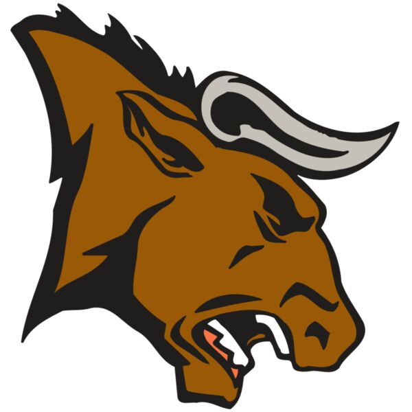 AR BULL 38 RC Miniaturansicht