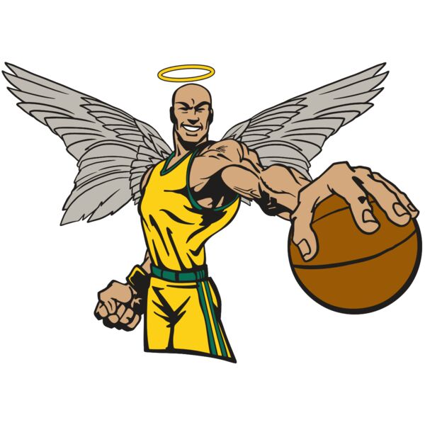 AR17 ANGEL BSKT 06 RQC Miniaturansicht