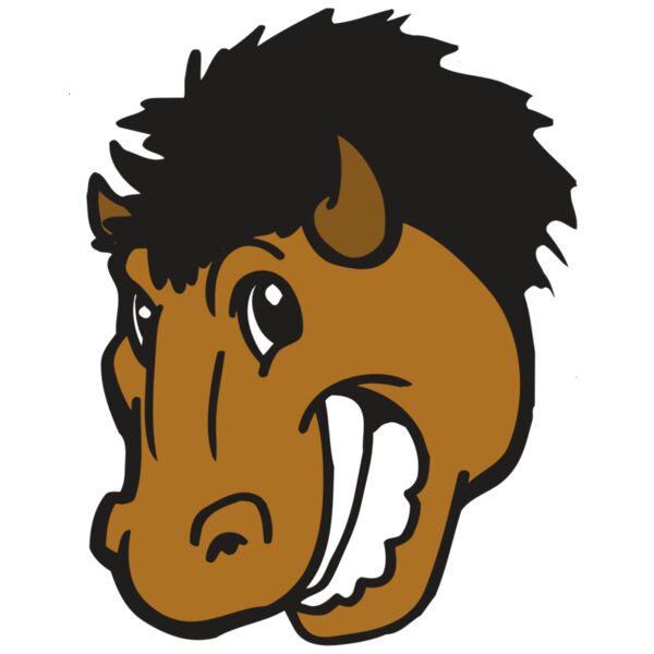 AR BUFFALO 17 RC Miniaturansicht