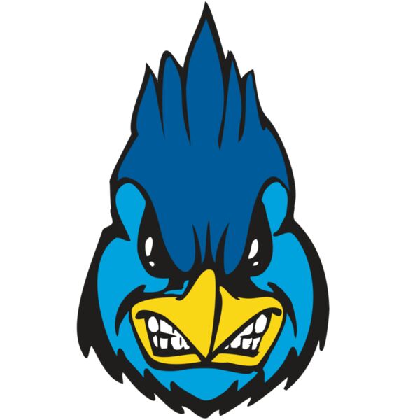 BAW BLUEJAY 02 RC Miniaturansicht