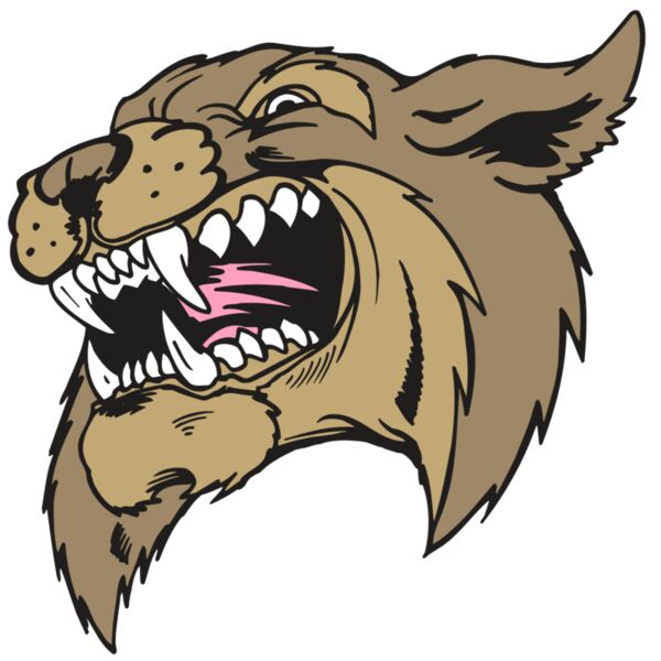 AR5 BOBCAT 09 RQC Miniaturansicht