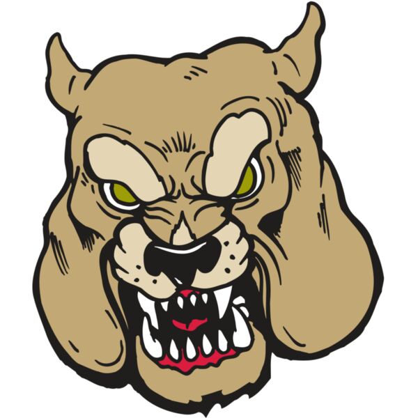 AR5 Bulldog 25 RQC Miniaturansicht