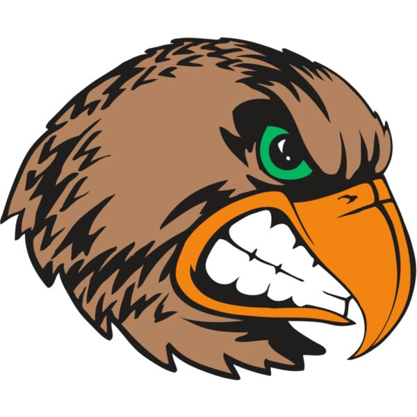 BAW HWK FLCN 09 RC Miniaturansicht