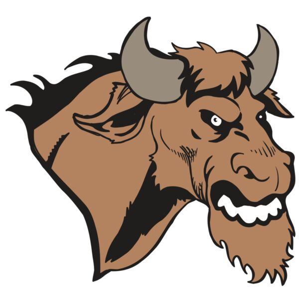 AR5 BULL 09 RQC Miniaturansicht