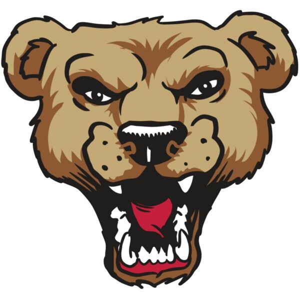 AR9 BEAR HD 01 RQC Miniaturansicht