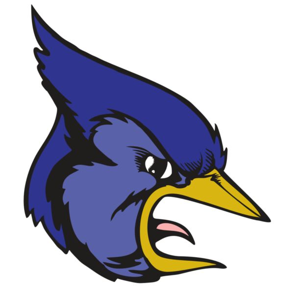 BAW BLUEJAY 04 RC Miniaturansicht