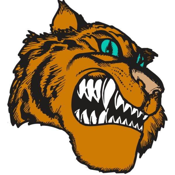 BAW TIGER 11 RC Miniaturansicht