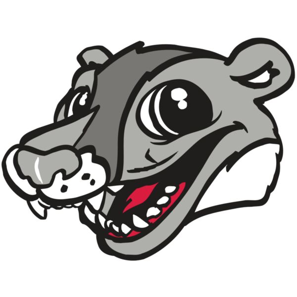 AR WOLVERINE 12 RC Miniaturansicht