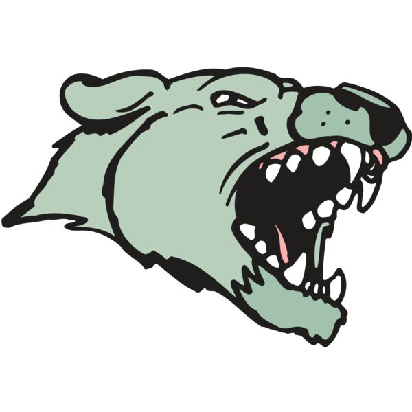 AR5 COUGAR 33 RQC Miniaturansicht