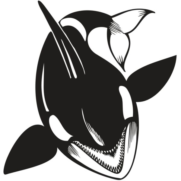 BAW KLRWHALE 01 RC Miniaturansicht