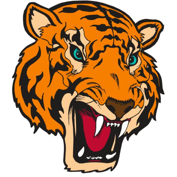 BAW TIGER 12 RC Miniaturansicht