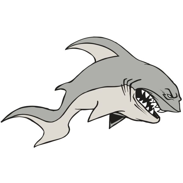 AR5 Shark 10 RQC Miniaturansicht