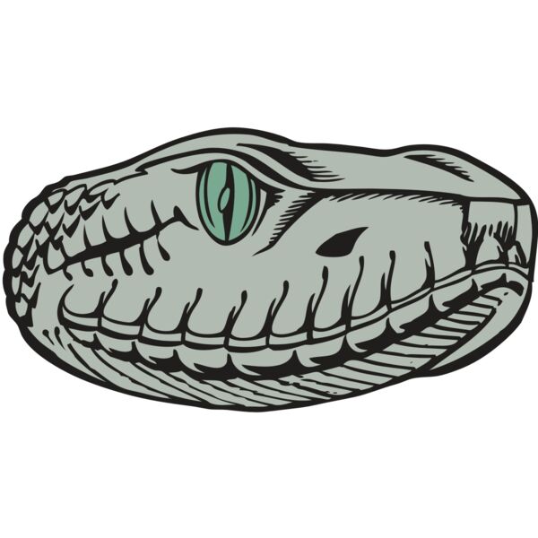 BAW SNAKE 10 RC Miniaturansicht