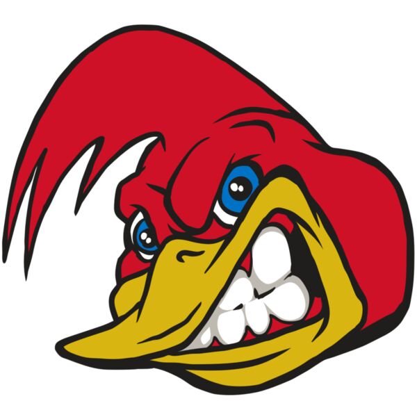 AR30 RRUNNER 03 RQC Miniaturansicht