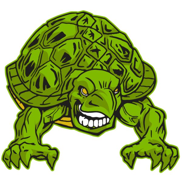 AR31 TURTLE 03 RQC Miniaturansicht