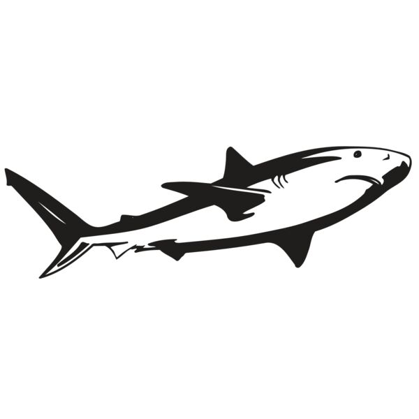 AR5 Shark 15 RQC Miniaturansicht