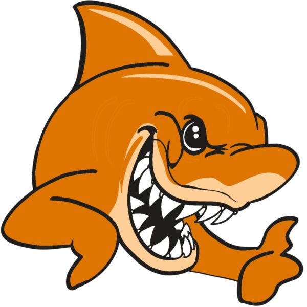 AR  SHARK 28 RC Miniaturansicht