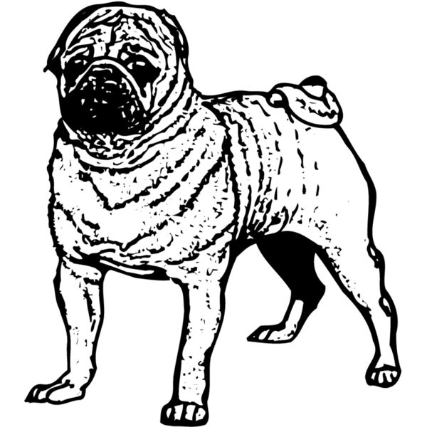 DC0034 Miniaturansicht