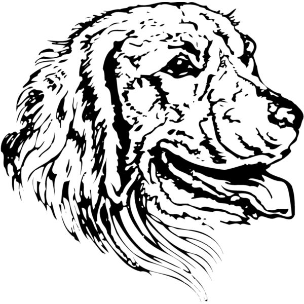 DC0052 Miniaturansicht