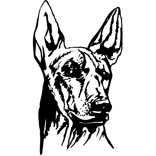 DC0054 Miniaturansicht