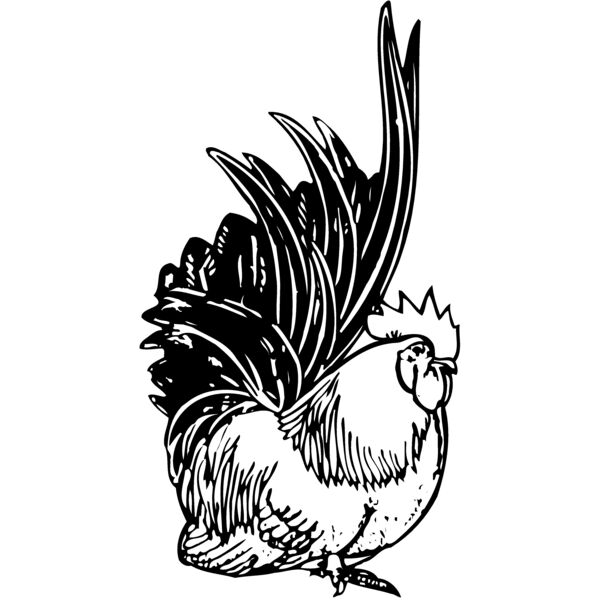 CHICK015 Miniaturansicht