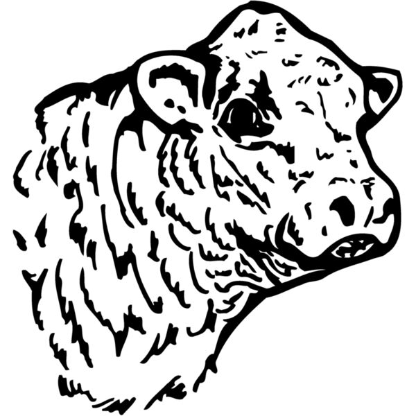 COW010 Miniaturansicht