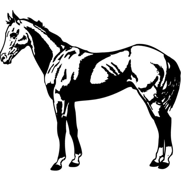 HORSE018 Miniaturansicht