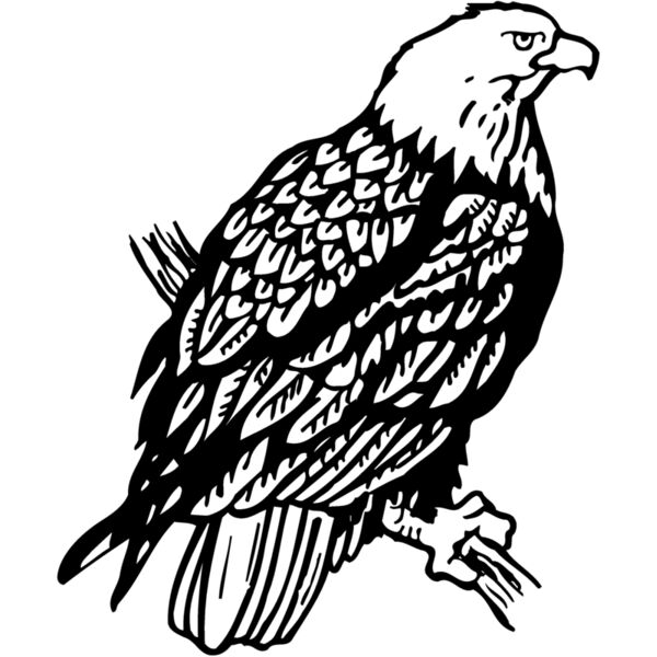 EAGLE024 Miniaturansicht