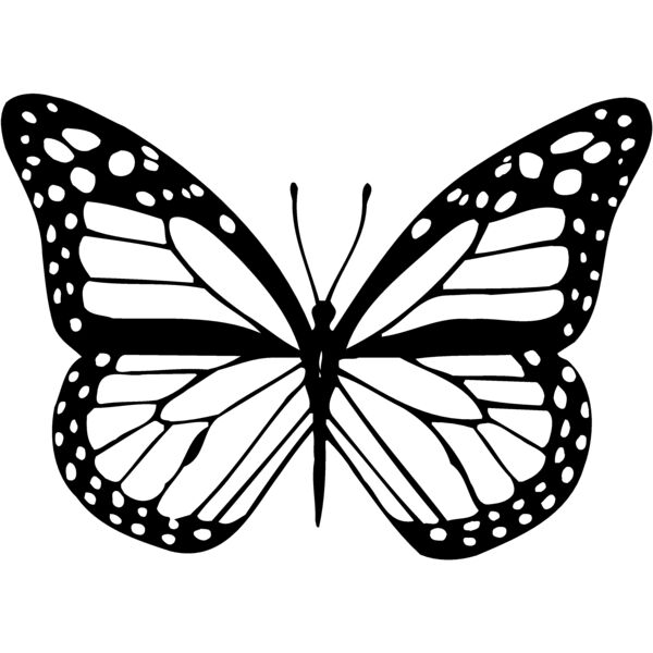 BTRFLY04 Miniaturansicht