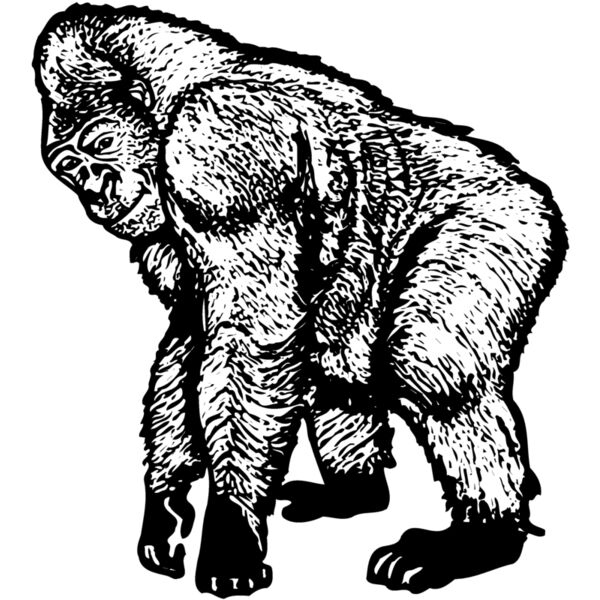 MONK001 Miniaturansicht