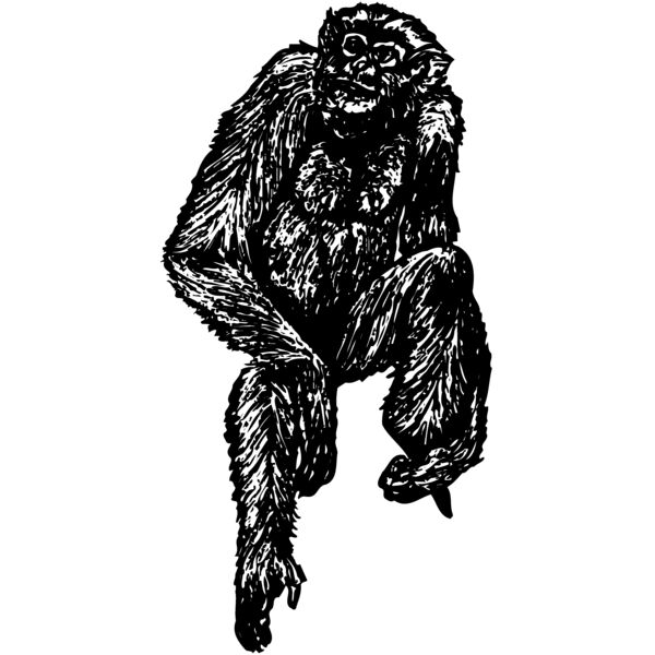 MONK004 Miniaturansicht