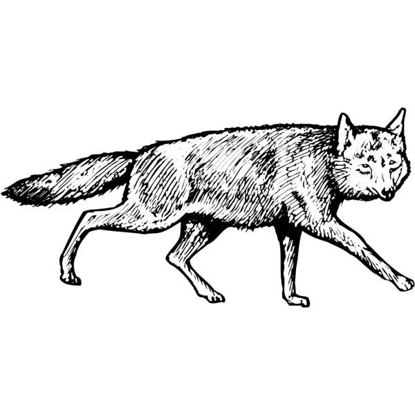 F_W005 Miniaturansicht