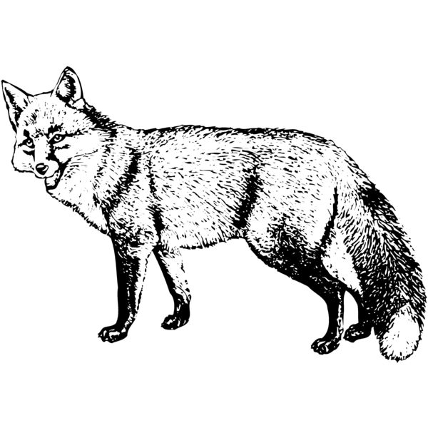 F_W012 Miniaturansicht