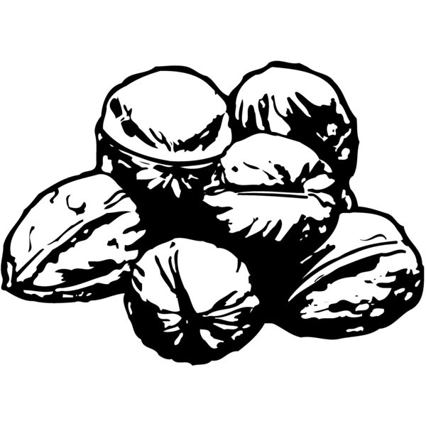 NUT001 Miniaturansicht