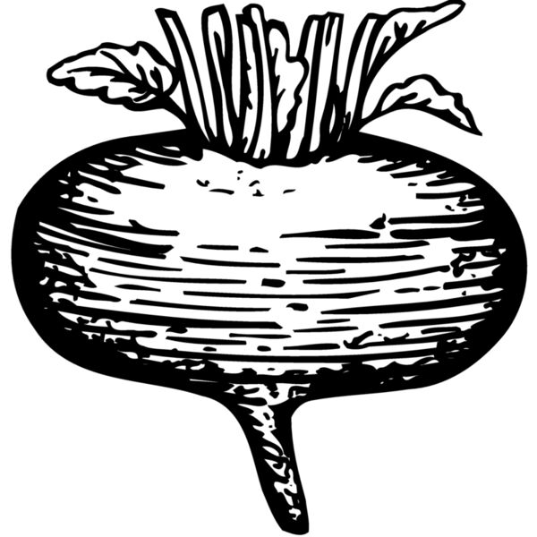 VEG018 Miniaturansicht